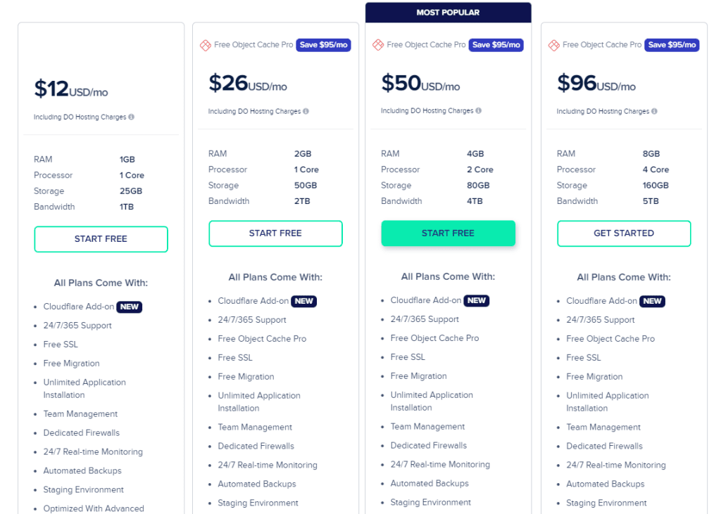 How much does a WordPress website cost per month? Cloudways' professional offer.